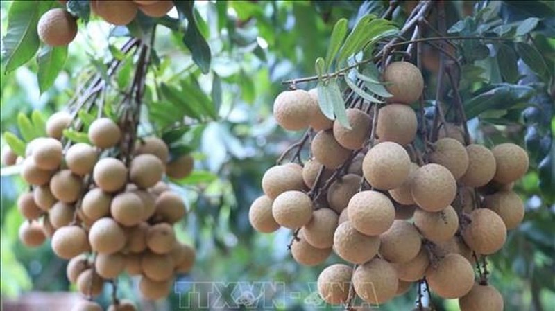 2022 - successful year for farm produce exports