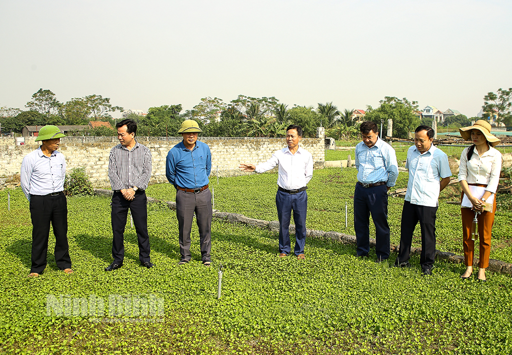 Triển khai xây dựng mô hình sản xuất sản phẩm theo chuỗi giá trị