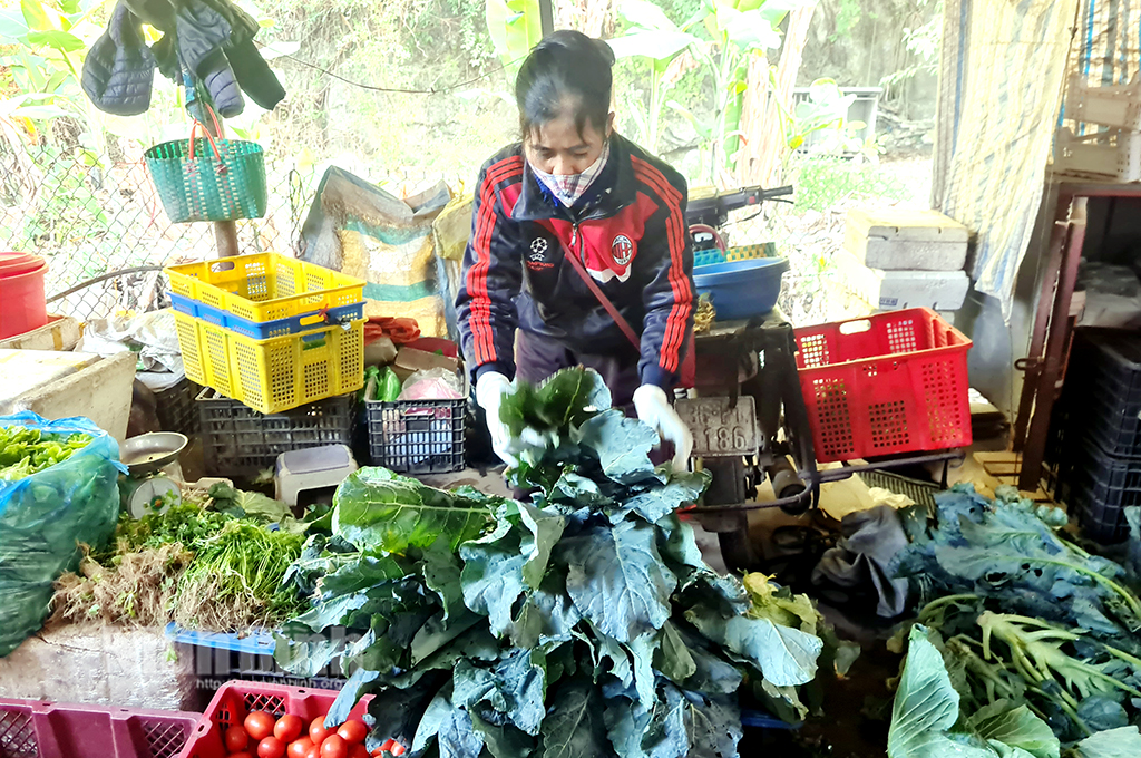 Rét đậm, rét hại kéo dài khiến rau xanh tăng giá