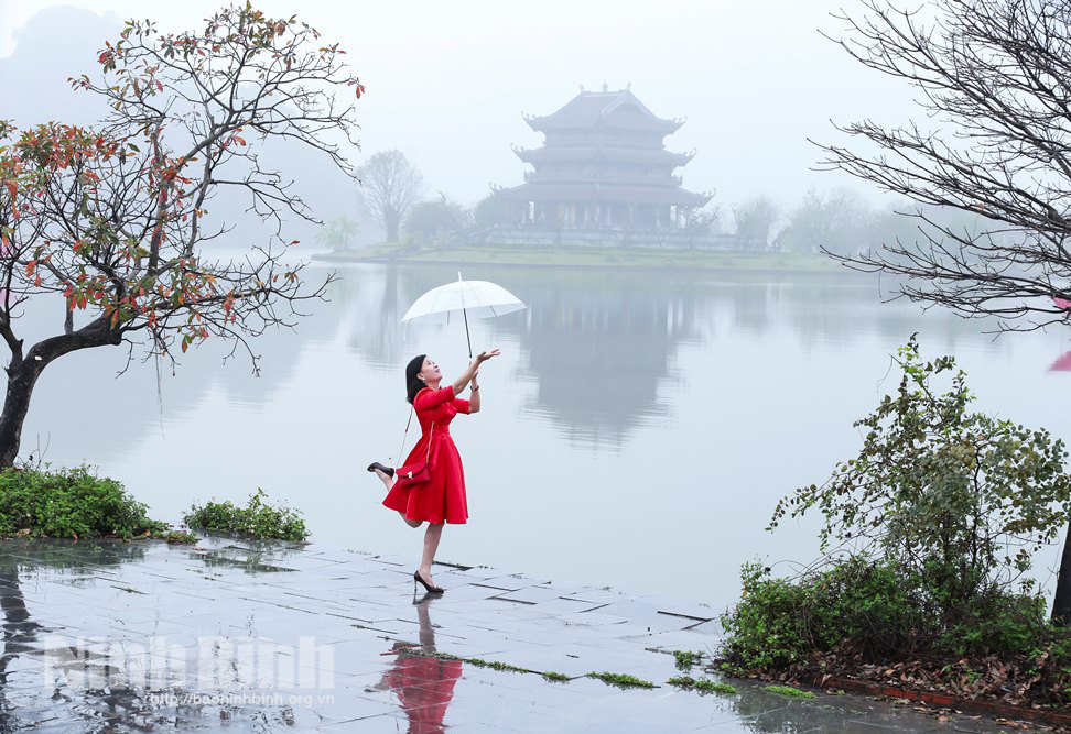Sương mù giăng lối…