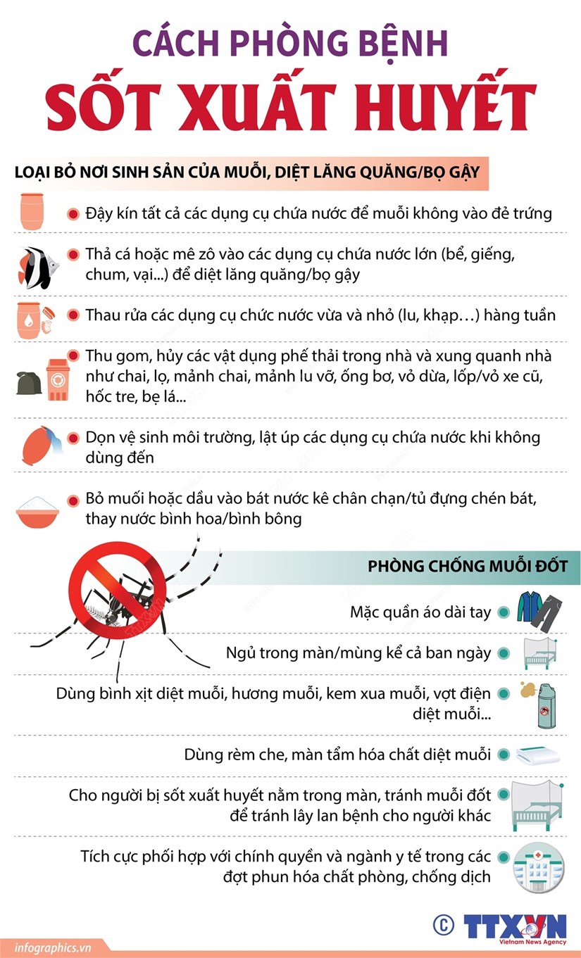 [Infographics] Những phương pháp phòng bệnh sốt xuất huyết
