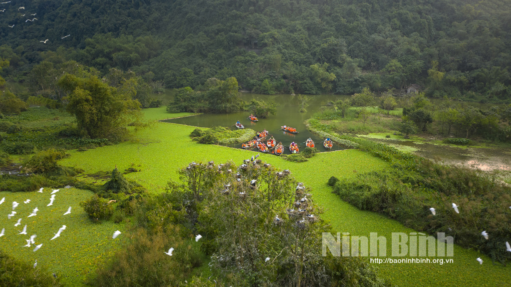 Ninh Bình phát triển du lịch gắn với bảo tồn đa dạng sinh học