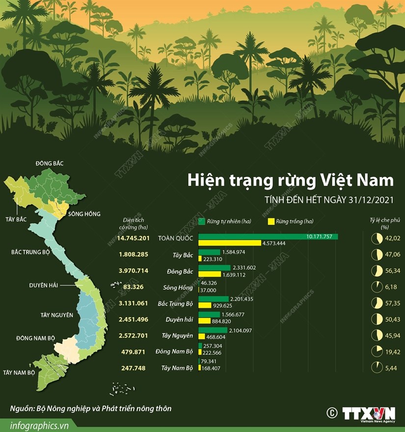 [Infographics] Việt Nam có hơn 14,7 triệu ha đất rừng năm 2021