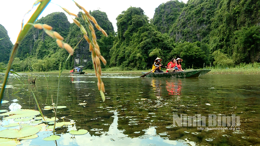 Về Tam Cốc ngắm cảnh sắc mùa thu