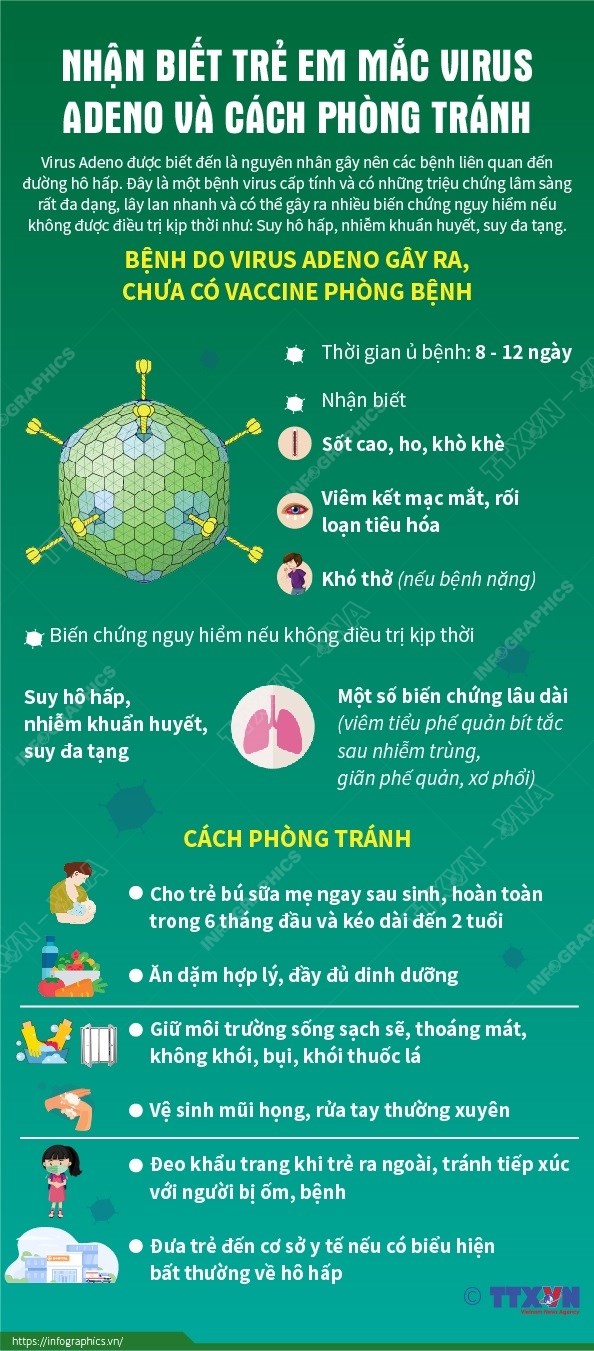 [Infographics] Nhận biết trẻ em mắc virus Adeno và cách phòng tránh