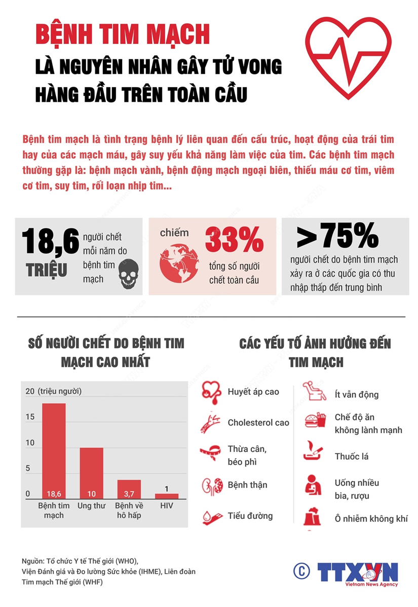 [Infographics] Bệnh tim mạch - nguyên nhân gây tử vong hàng đầu trên toàn cầu