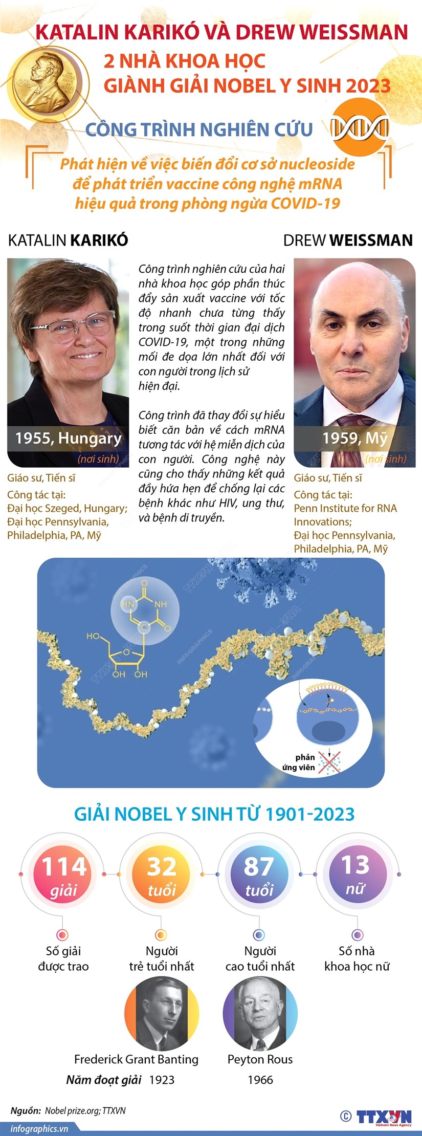 [Infographics] Giải Nobel Y sinh 2023 vinh danh hai nhà khoa học Hungary và Mỹ