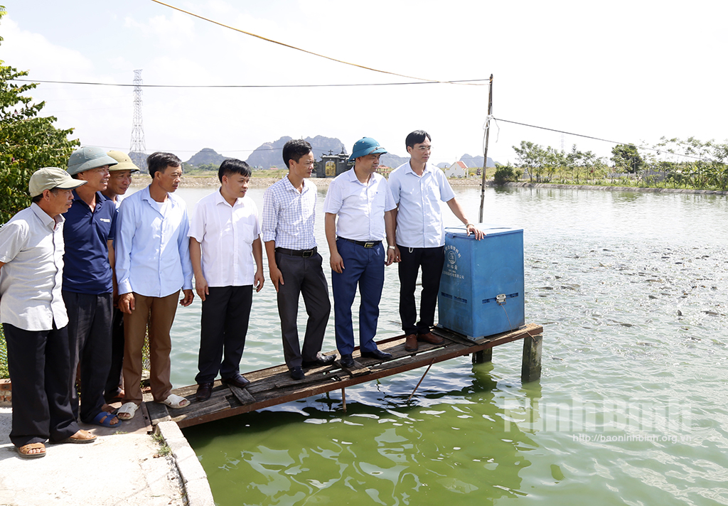 Hội thảo đầu bờ trình diễn kết quả kỹ thuật nuôi thương phẩm cá trắm giòn