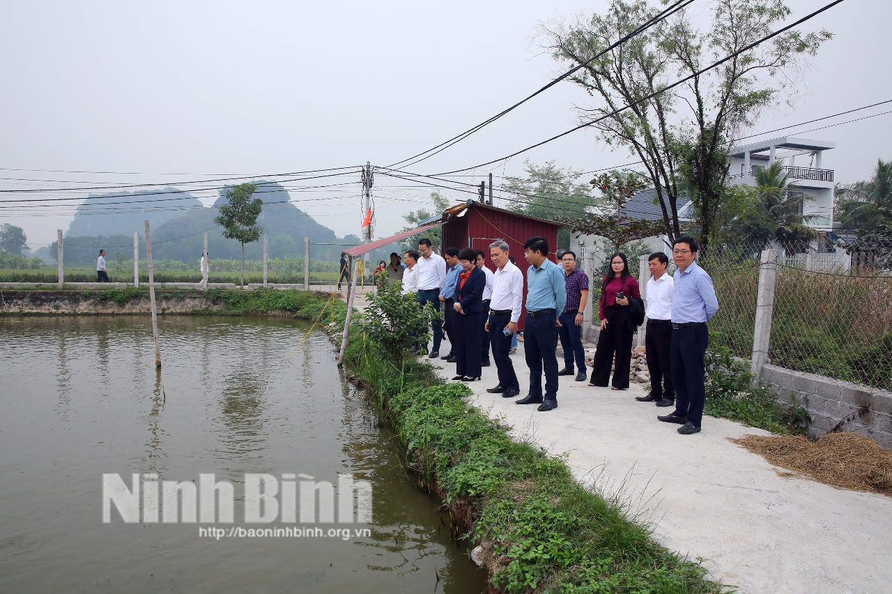 Khảo sát đánh giá kết quả xây dựng xã nông thôn mới nâng cao, kiểu mẫu tại một số xã của huyện Hoa Lư