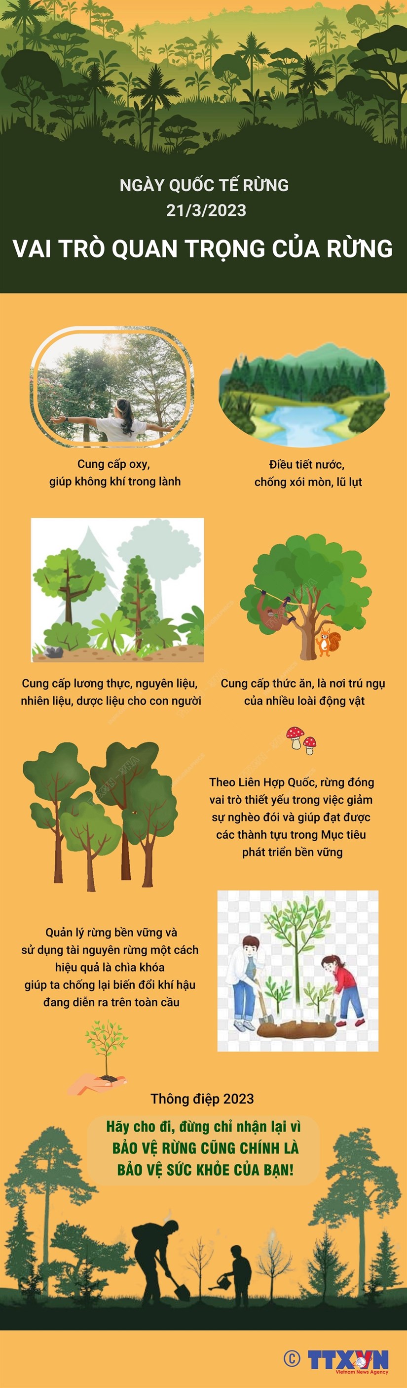 [Infographics] Ngày quốc tế về Rừng năm 2023: "Rừng và Sức khỏe"