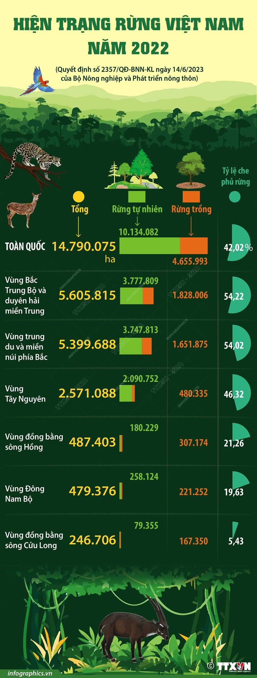 [Infographics] Tổng quan về hiện trạng rừng Việt Nam năm 2022