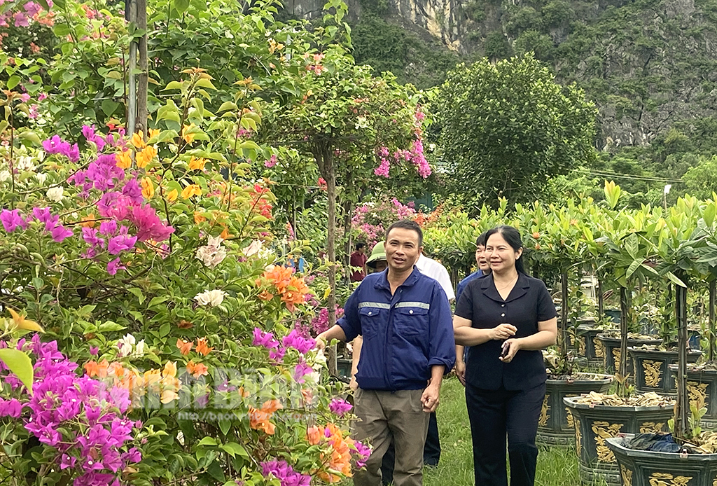 Gia Lâm: Phát triển nhiều mô hình trồng hoa, cây cảnh