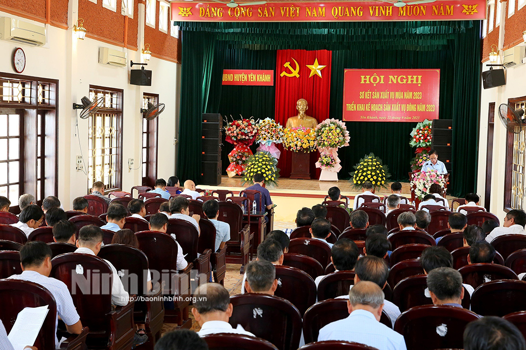 Yên Khánh triển khai kế hoạch sản xuất vụ đông năm 2023