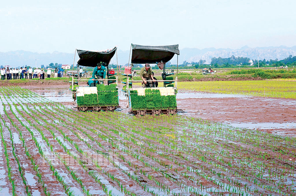 Ngành Nông nghiệp và phát triển nông thôn: Bước tiến nửa nhiệm kỳ