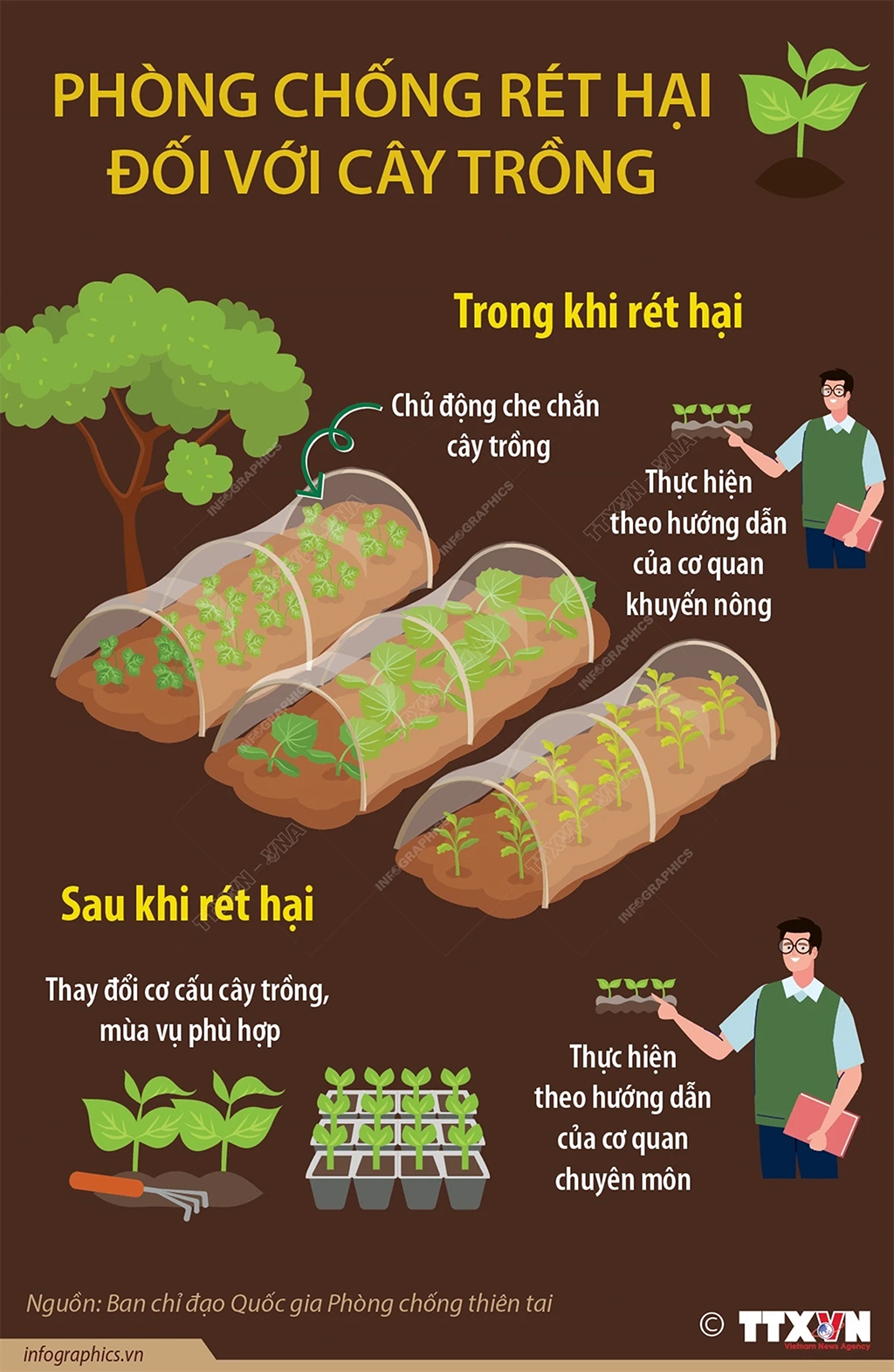 [Infographics] Biện pháp phòng chống rét đậm, rét hại đối với cây trồng