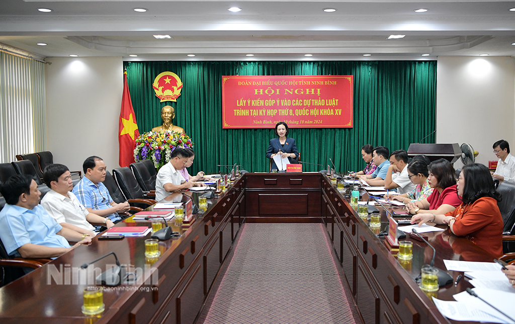 Đoàn ĐBQH tỉnh lấy ý kiến đóng góp vào các dự thảo luật trình tại kỳ họp thứ 8, Quốc hội khóa XV