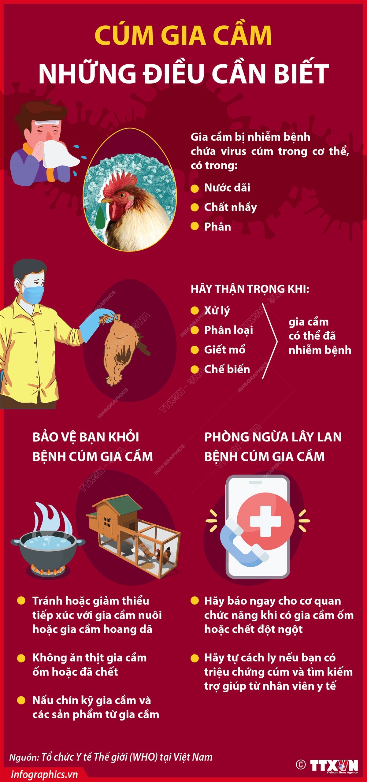 [Infographics] Những điều cần biết để phòng tránh bệnh cúm gia cầm