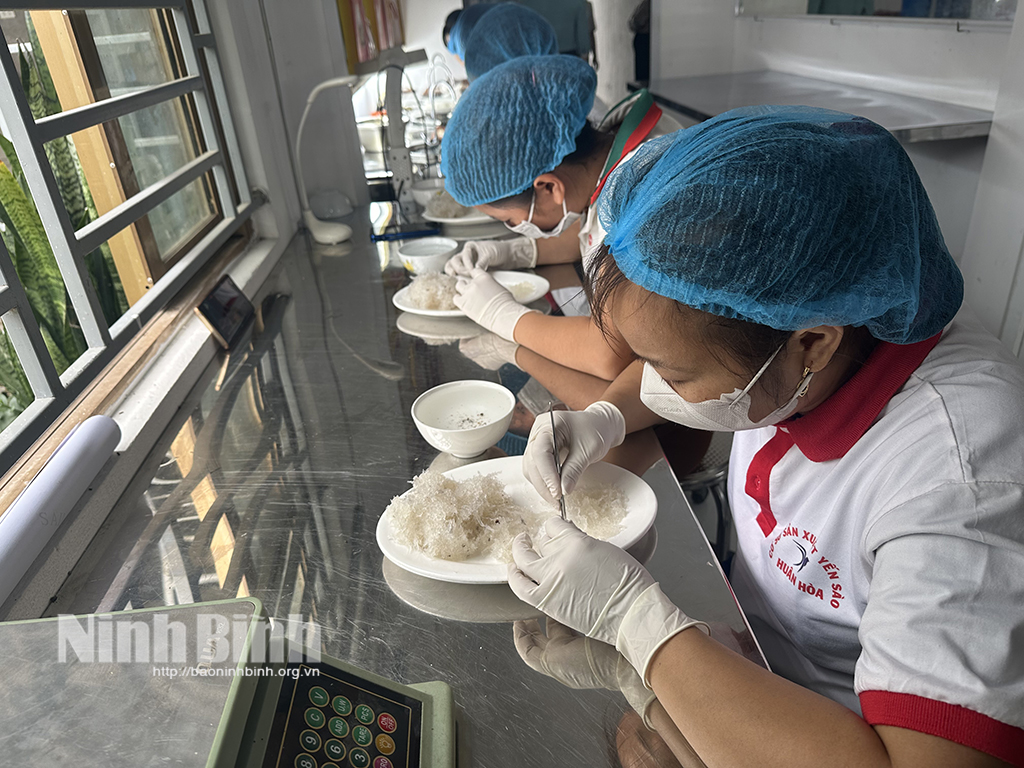 Ninh Bình có 7 sản phẩm công nghiệp nông thôn tiêu biểu khu vực phía Bắc