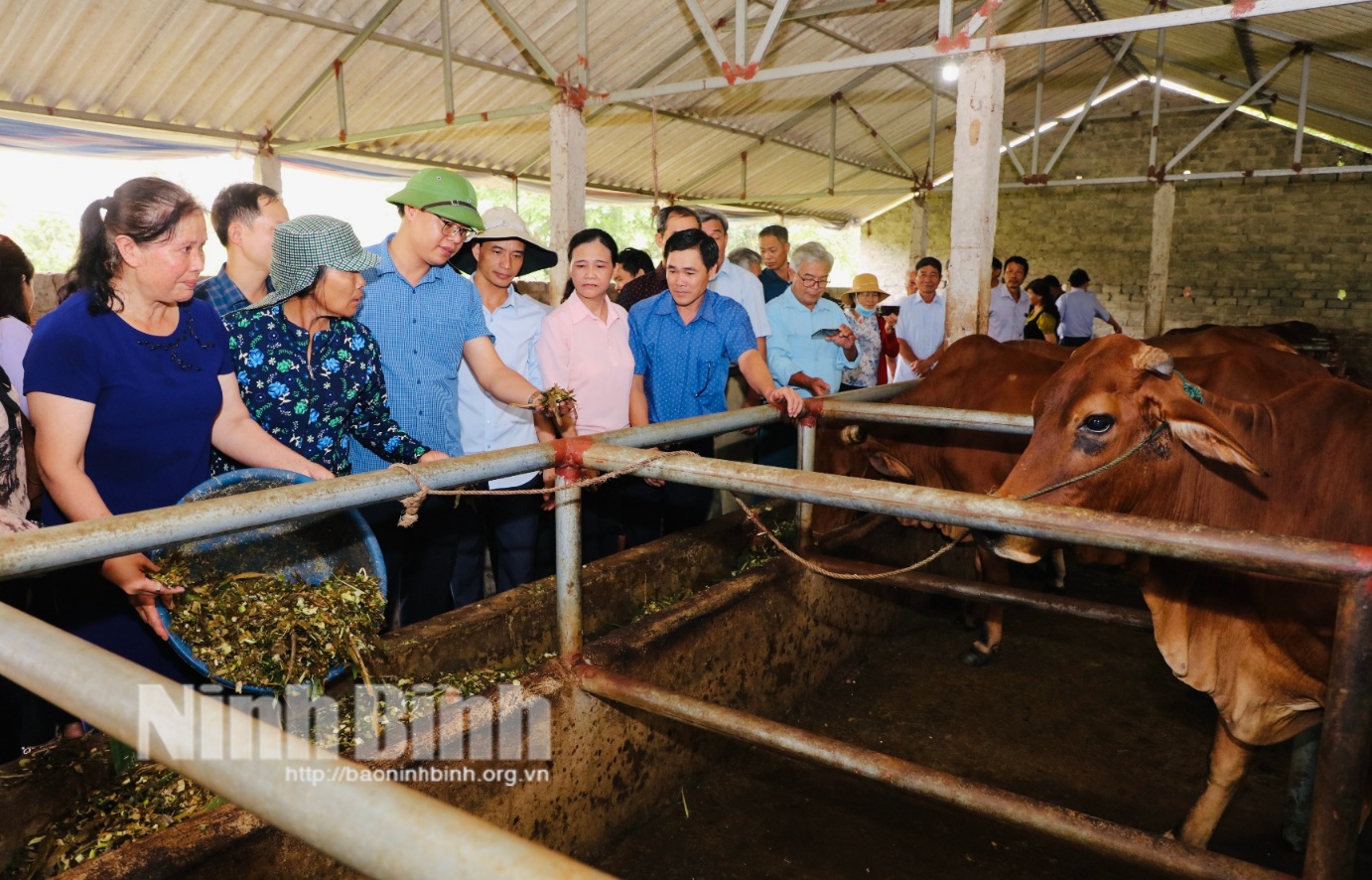 Hội Nông dân tỉnh tổ chức tham quan, học tập kinh nghiệm mô hình xử lý rác thải hữu cơ thân thiện với môi trường