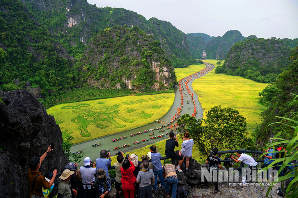 Photo tour Sắc vàng Tam Cốc - Tràng An: Hấp dẫn, ấn tượng, mang lại nhiều cảm xúc