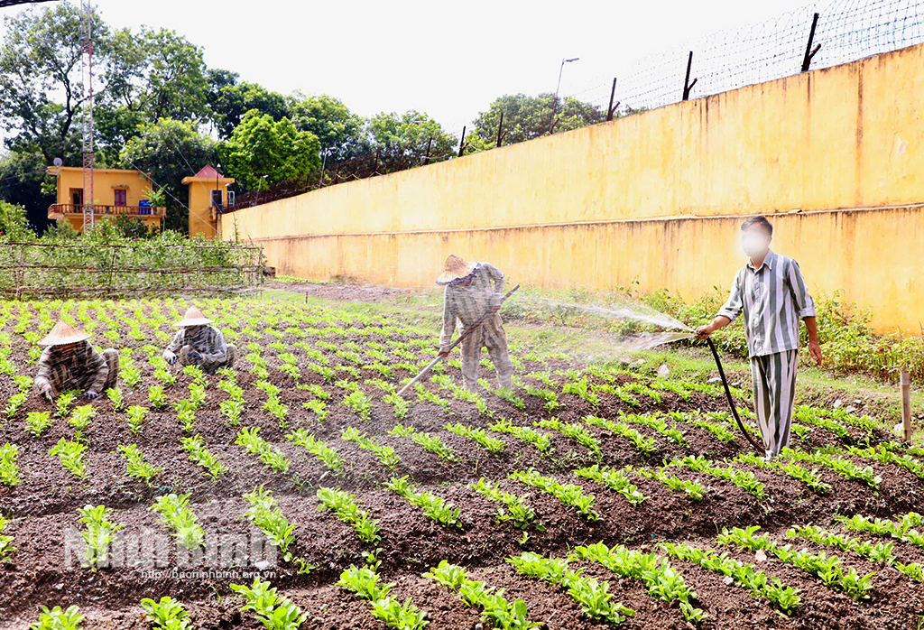 [Ảnh] Trước ngày đặc xá ở Trại giam Ninh Khánh