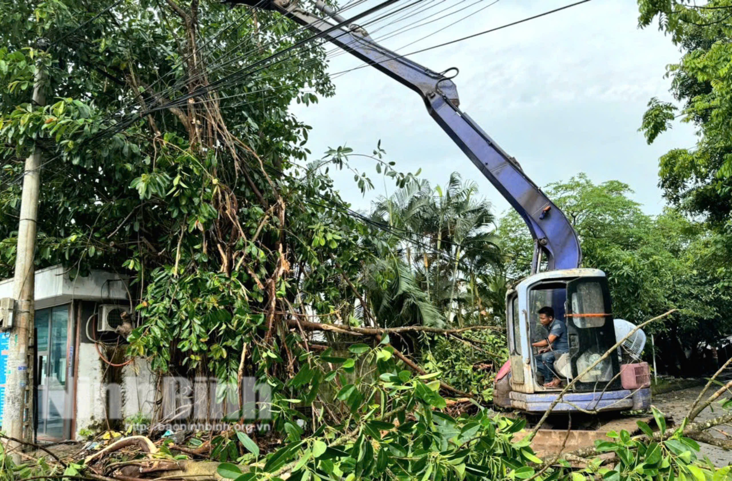 Yên Khánh sẵn sàng ứng phó với bão số 3