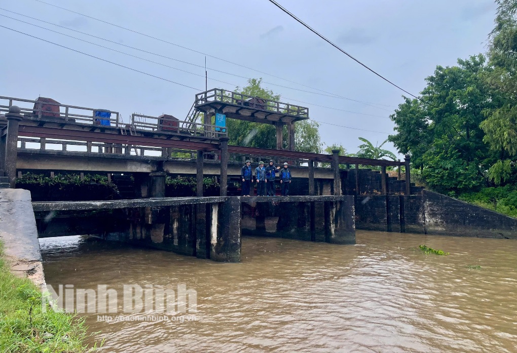 Tập trung tiêu úng bảo vệ lúa và hoa màu sau bão số 3