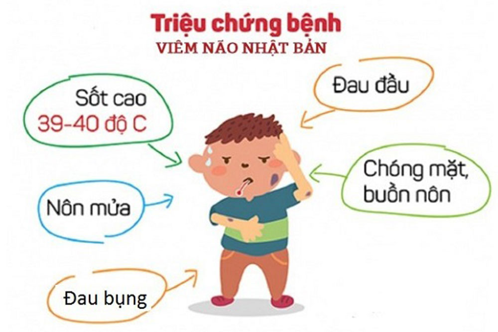 Một cháu bé 10 tuổi ở xã Liêm Tuyền mắc viêm não Nhật Bản