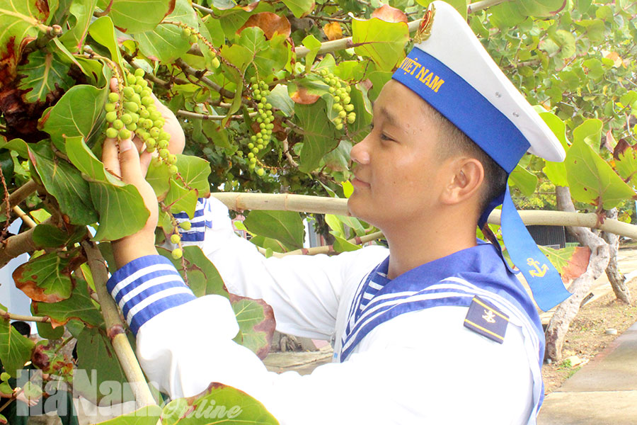 Những mầm xanh vươn mình cùng sóng gió