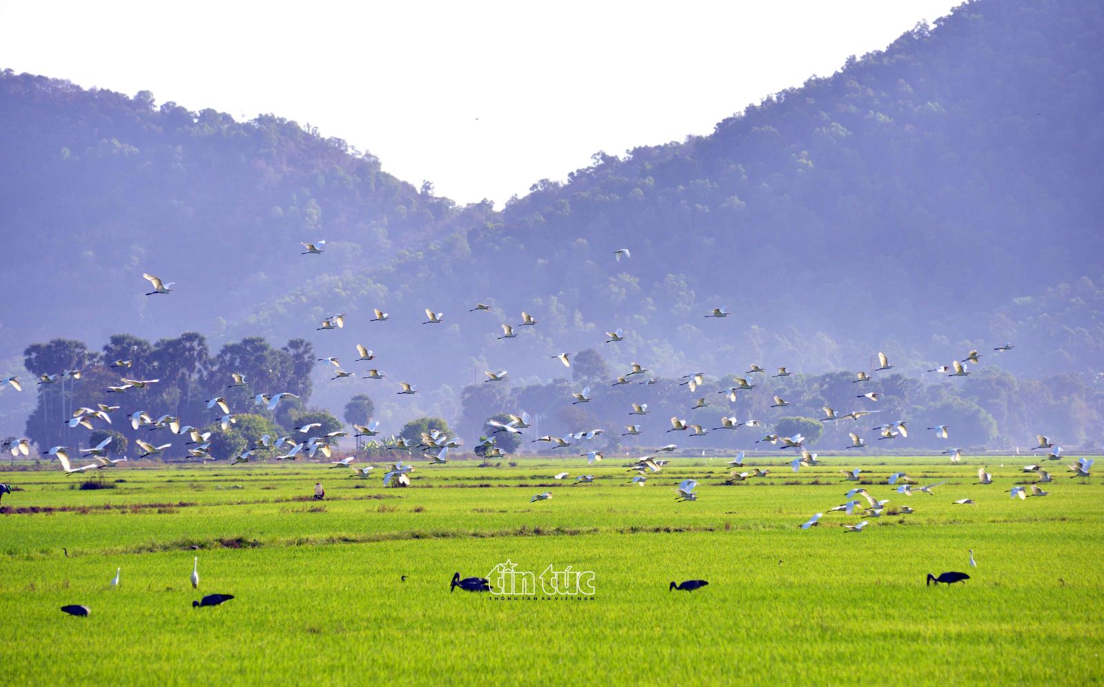 Khu tập thể của mẹ