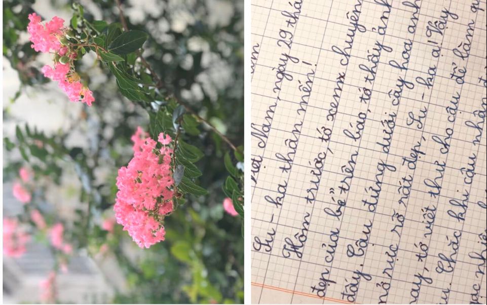 Những cánh thư bay đi đâu