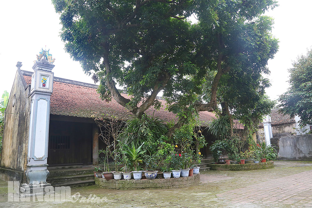 Tổ ngoại Tam Nguyên Yên Đổ, Hoàng giáp Trần Hữu Thành