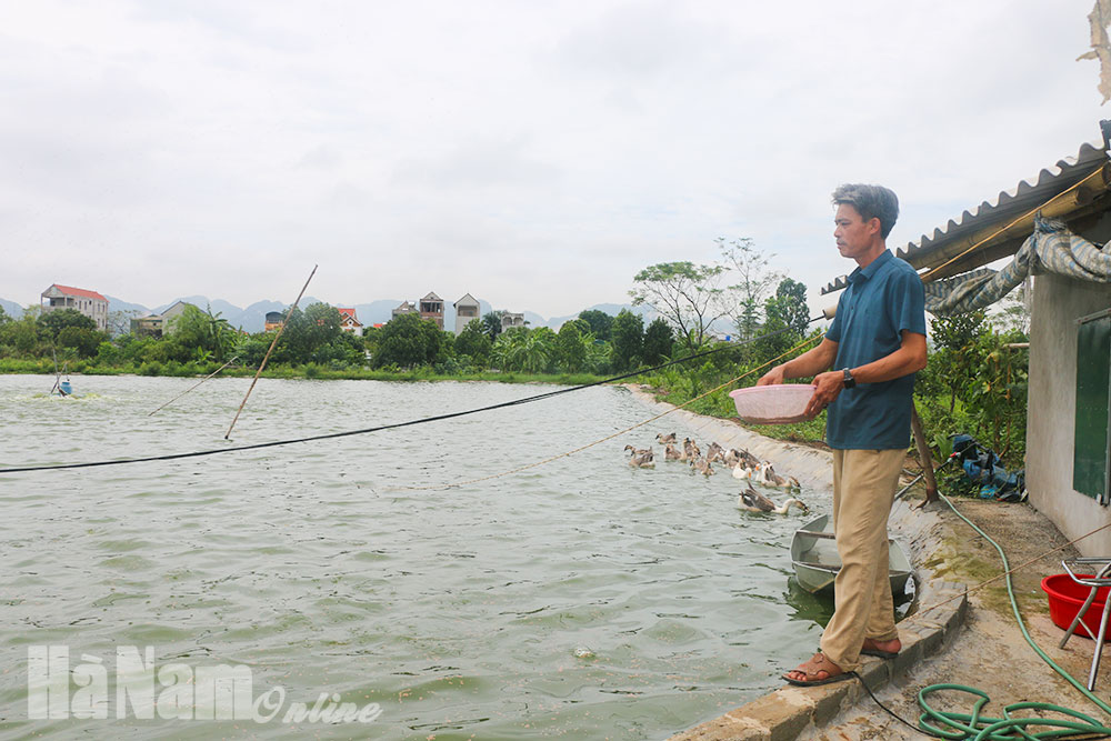 Bảo đảm an toàn diện tích nuôi trồng thủy sản trong mùa mưa bão
