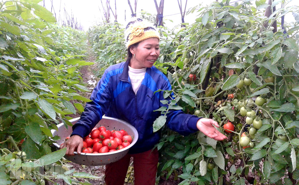 Thanh Liêm ban hành công văn hỏa tốc ứng phó với bão số 2