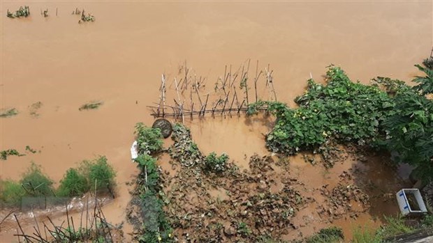 Xuất hiện đợt lũ trên sông Hồng-Thái Bình, nhiều vùng biển nguy hiểm