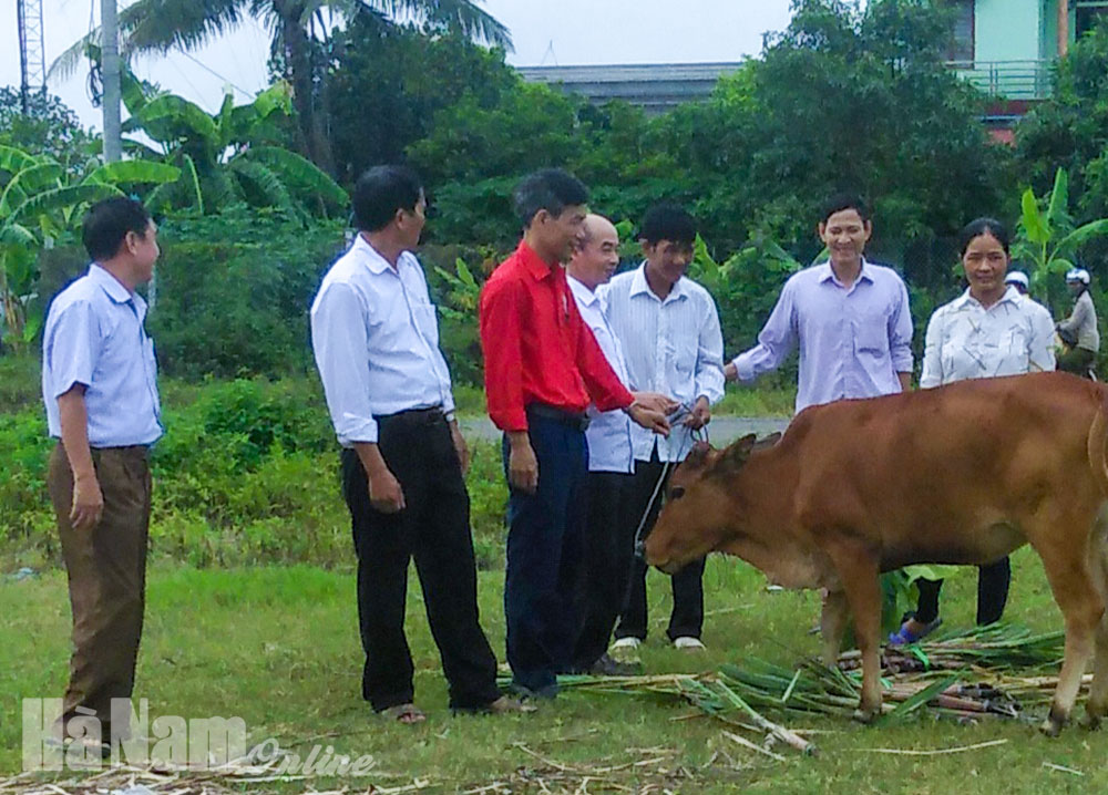 Hội Nông dân Thanh Liêm trao tặng bò sinh sản cho hội viên nghèo