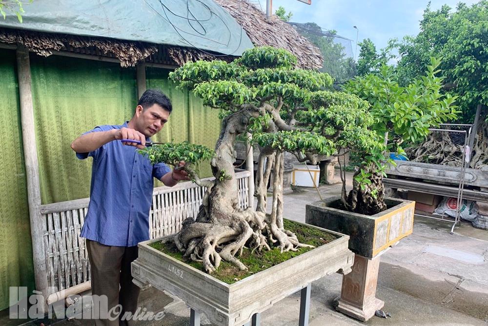 Những đảng viên làm kinh tế giỏi ở Lý Nhân