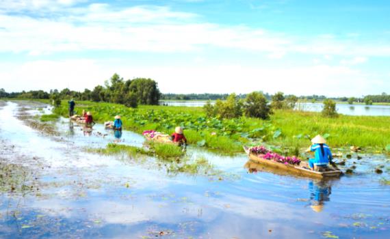 Nhiều hoạt động hút khách du lịch dịp cuối năm