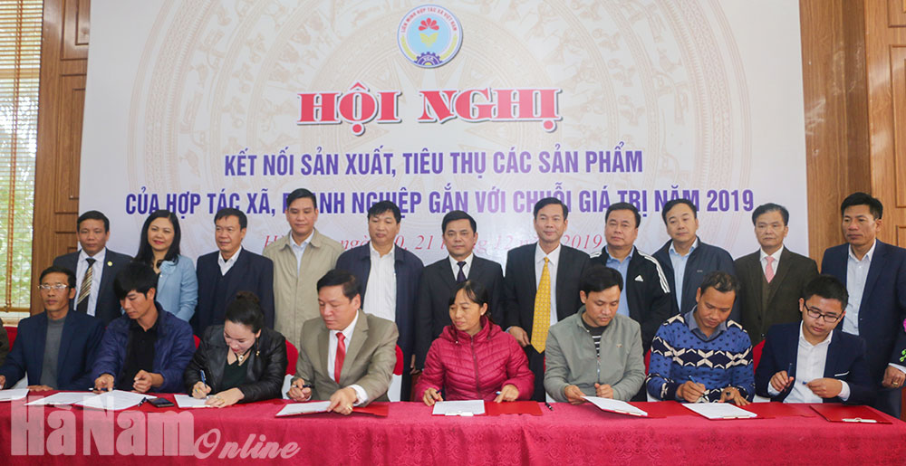 Phát huy vai trò nòng cốt của Liên minh HTX tỉnh trong phát triển kinh tế tập thể