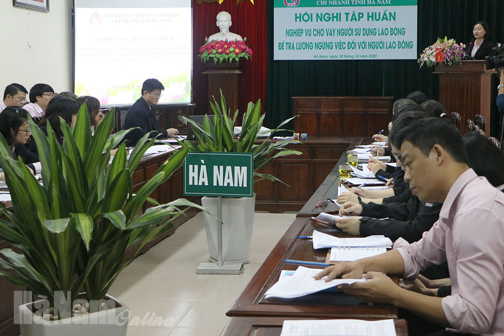 Chi nhánh Ngân hàng CSXH tỉnh tập huấn nghiệp vụ cho vay người sử dụng lao động để trả lương ngừng việc đối với người lao động