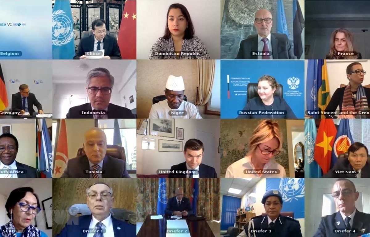 HĐBA tìm kiếm giải pháp cho các vấn đề ở Syria, Bosnia và Herzegovina