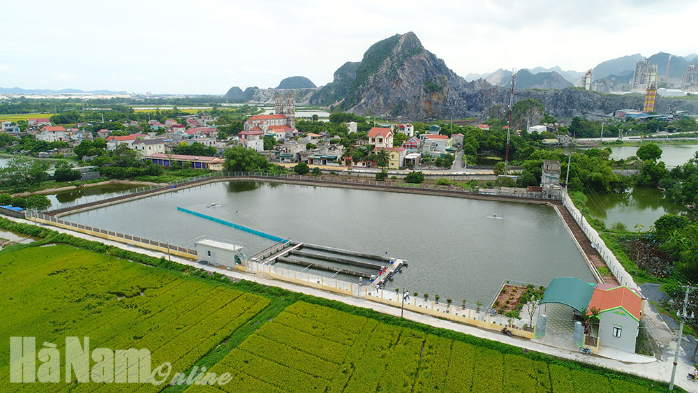 Phát triển HTX nông nghiệp ứng dụng công nghệ cao