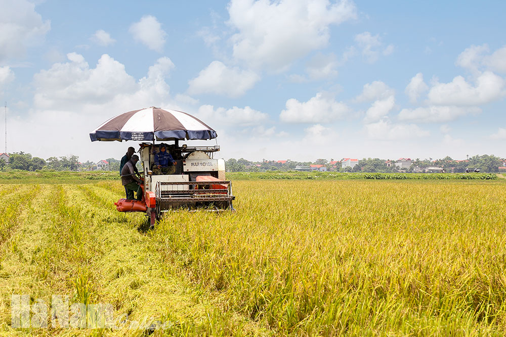 Sở NN & PTNT triển khai nhiệm vụ năm 2021