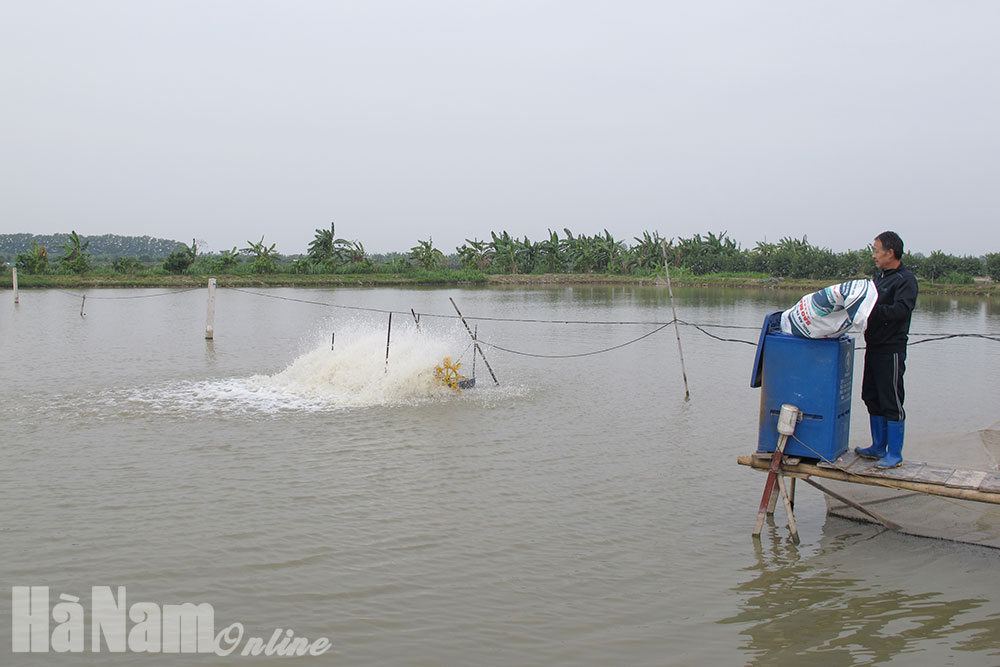 Đẩy mạnh phát triển nuôi trồng thủy sản
