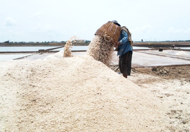 "Nghề làm muối ở Bạc Liêu" vào Di sản văn hóa phi vật thể Quốc gia