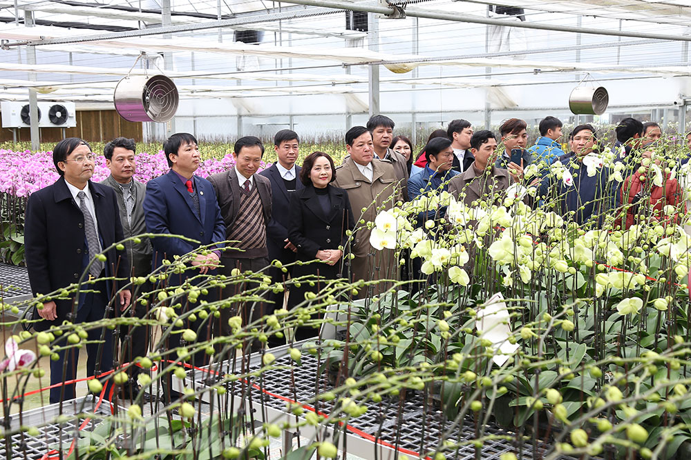 Ban Quản lý Khu NNƯDCNC triển khai kế hoạch công tác năm 2021