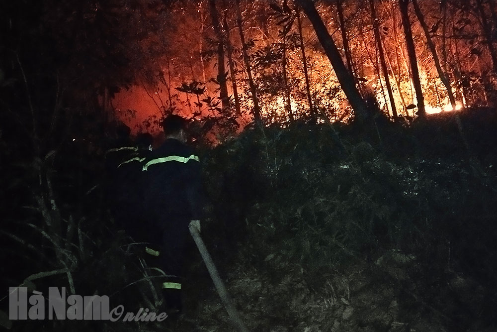 Hỏa hoạn thiêu trụi hơn 3ha rừng ở huyện Thanh Liêm
