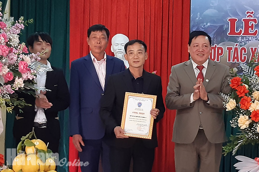 Ra mắt HTX Bưởi hữu cơ Chính Lý