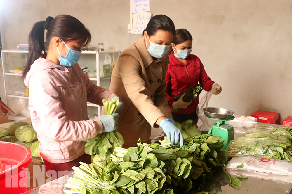 Tăng cường quản lý chất lượng nông sản