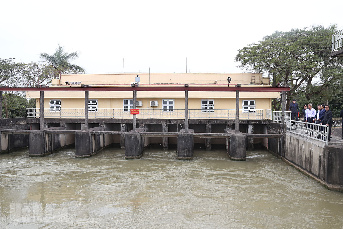 Kiểm tra công tác chuẩn bị sản xuất vụ xuân 2021